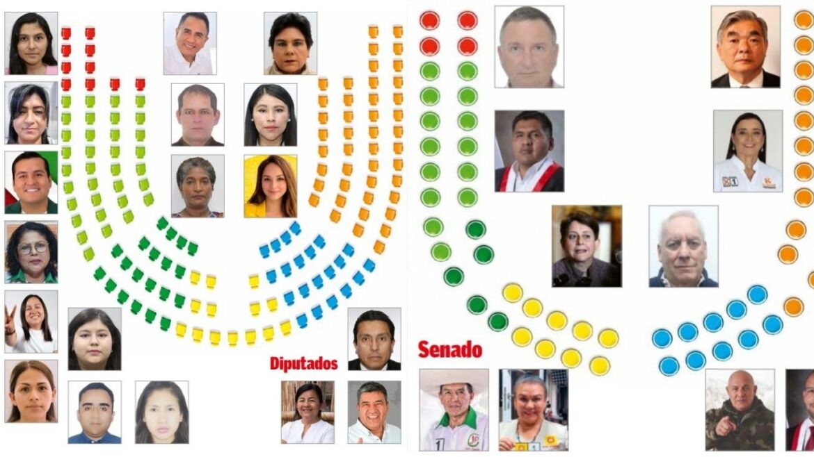 Senado y Diputado
