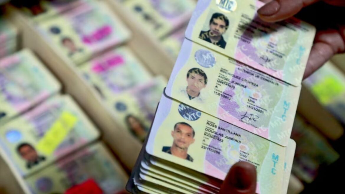 licencia de conducir