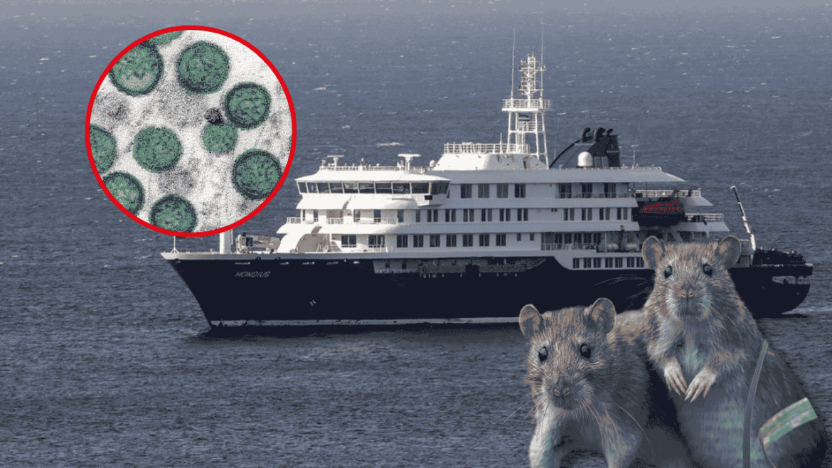 Hantavirus