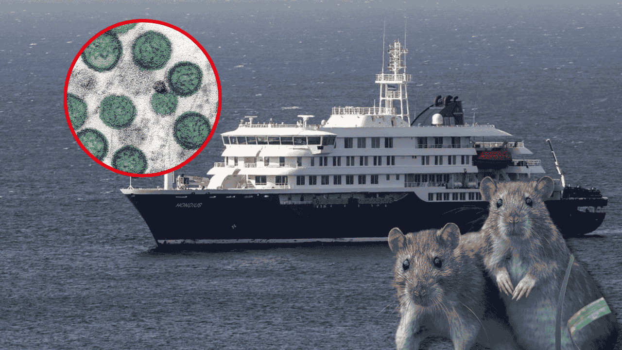 Hantavirus