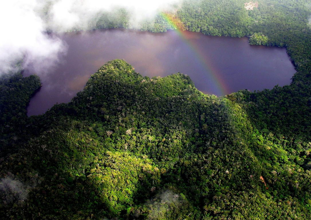 Parque Nacional Cordillera Azul conserva intacto el 99.96% de su territorio