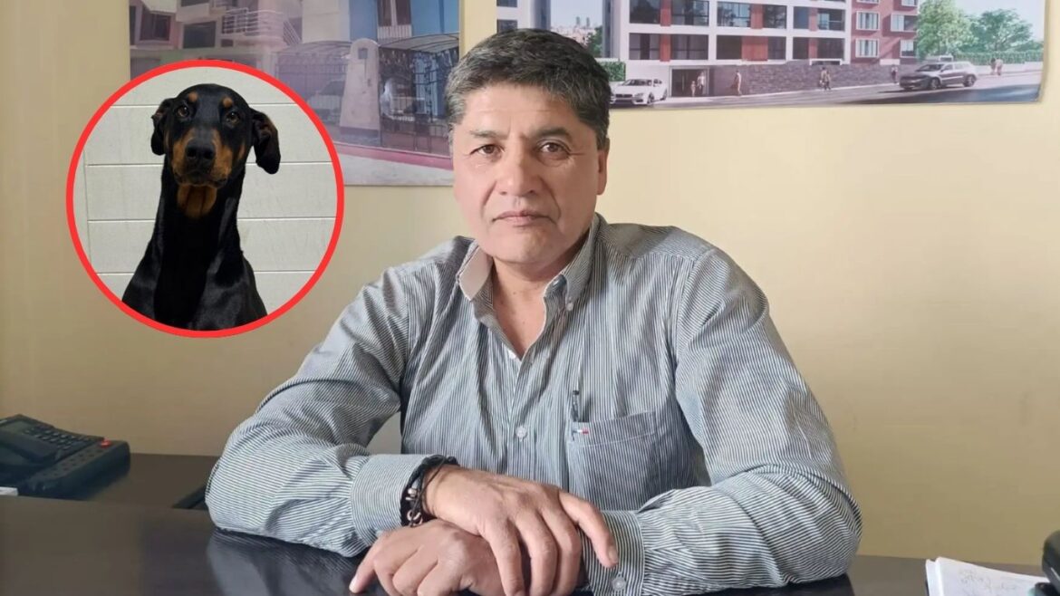 alcalde de Arequipa
