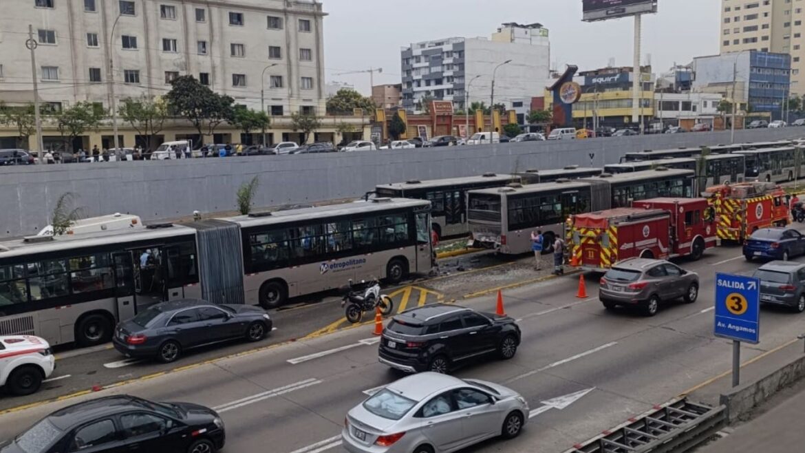 Metropolitano