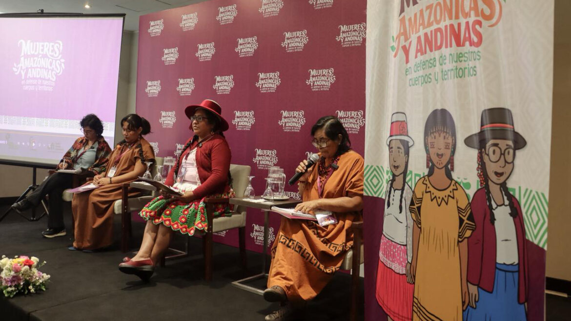 El Foro Nacional de Mujeres Amazónicas y Andinas se desarrolló en el marco del proyecto "Acceso a la justicia ambiental y climática para mujeres amazónicas y andinas del Perú". Foto: difusión