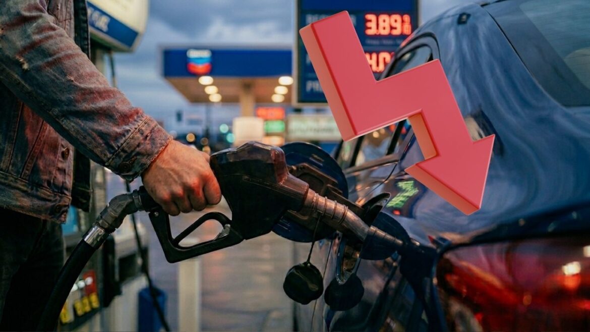 gasolina