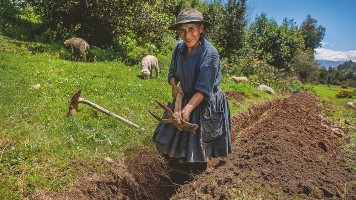 El plan de Canadá en el Perú consiste en una estrategia integral que busca impulsar el desarrollo sostenible, la inclusión y la protección de derechos humanos.