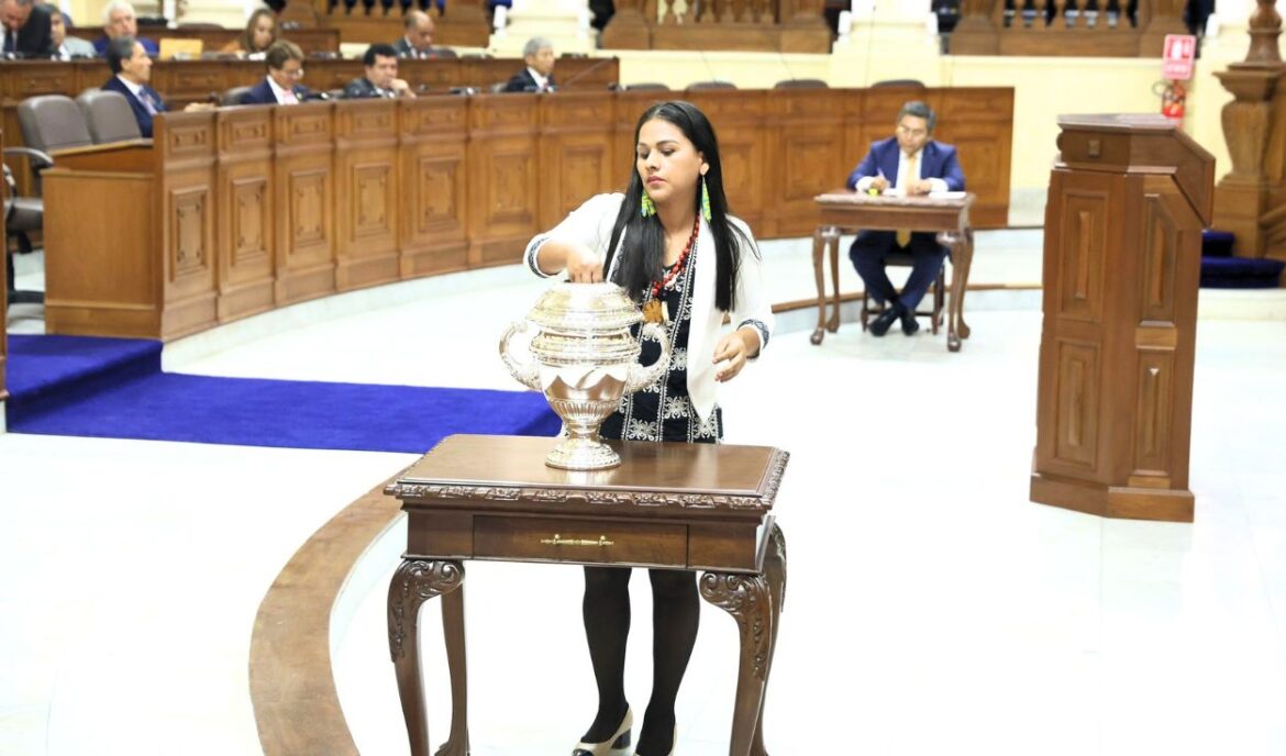 Silvana Robles habló sobre su voto en la elección de la Mesa Directiva del Senado. Foto: Silvana Robles/X