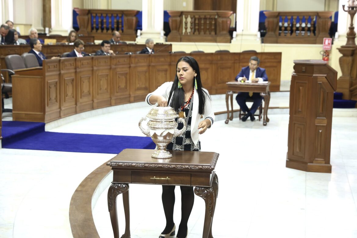 Silvana Robles congresista Juntos por el Perú.