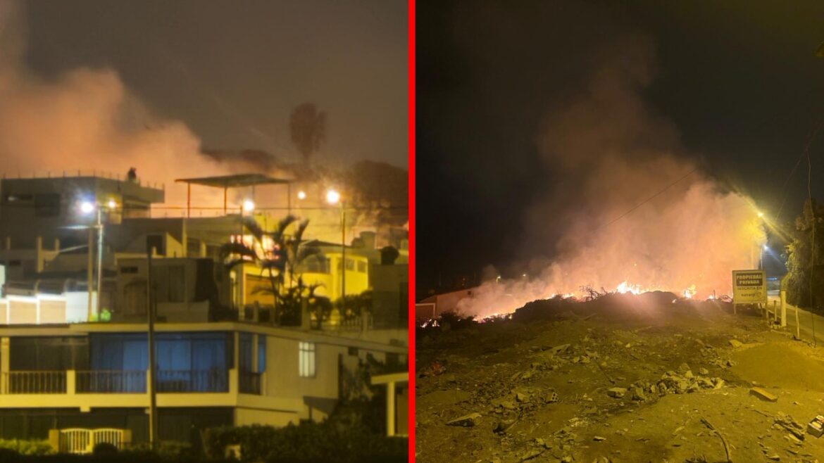 El Comité de Seguridad de la Urb. Country Club del balneario de Santa Rosa, en Lima Norte, denunció quema de maleza. Foto: composición Caretas
