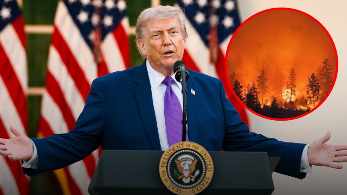 Donald Trump habló sobre incendios en Canadá. Foto: Composición Caretas