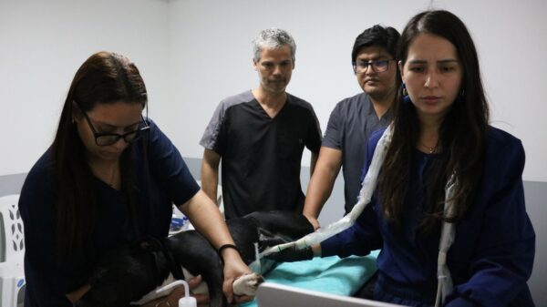 Pancho Cavero, veterinario peruano, nos habla sobre su trayectoria y el bienestar animal.