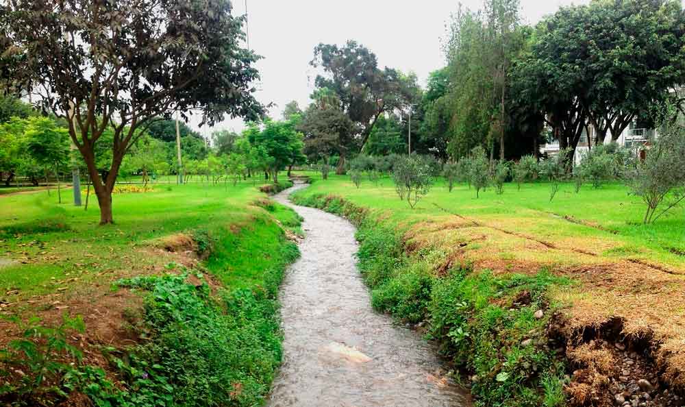 Canal de Surco. 