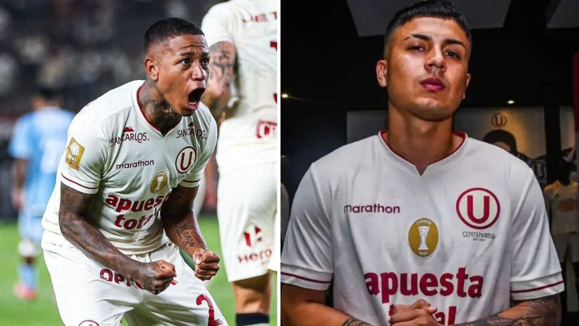 Universitario