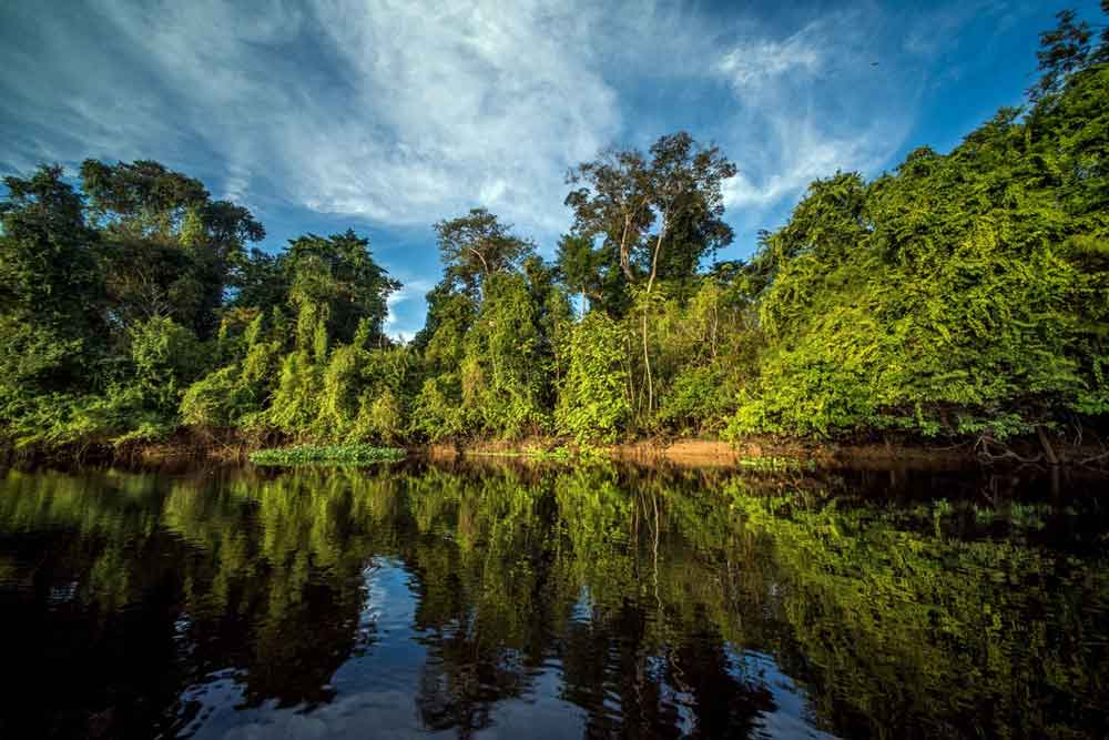 Amazonia