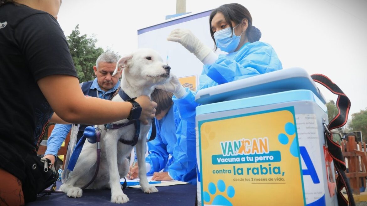 El Ministerio de Salud impulsa vacunatón contra la rabia canina. Foto: Minsa