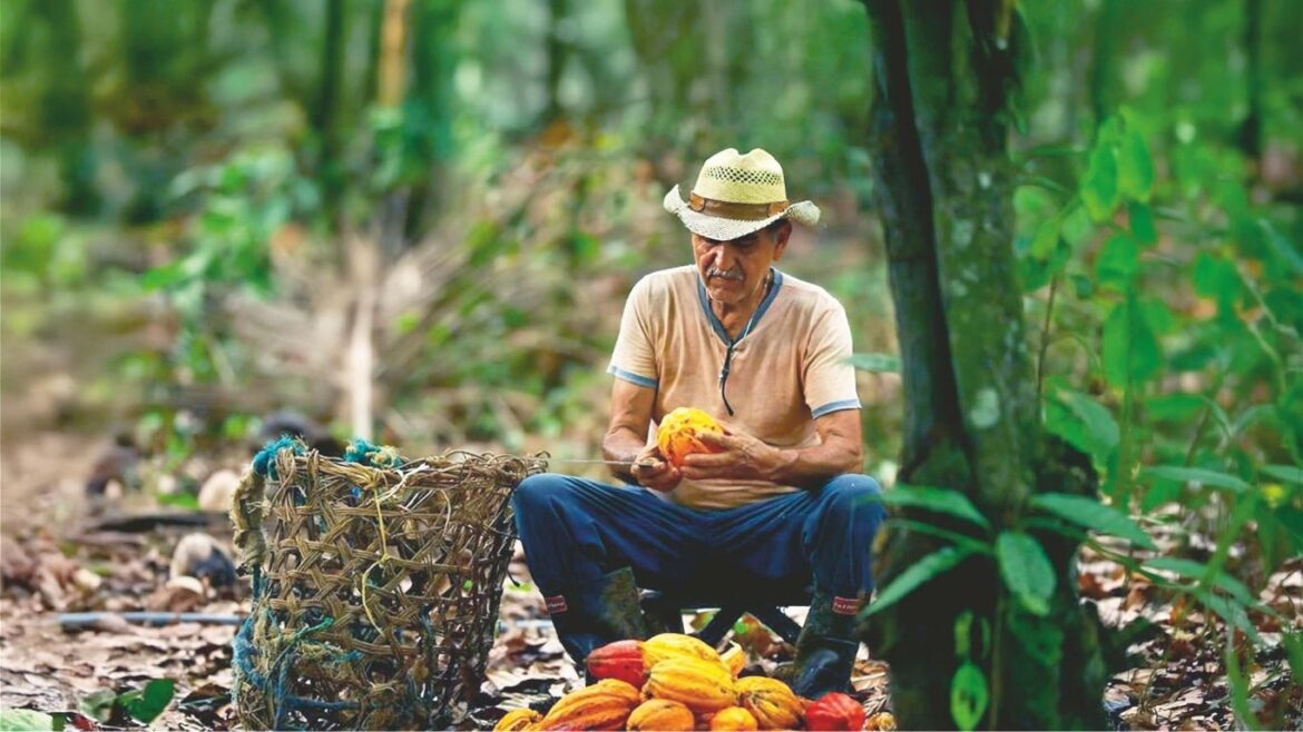 En los primeros siete meses de 2026, el intercambio acumuló aproximadamente US$1227 millones.