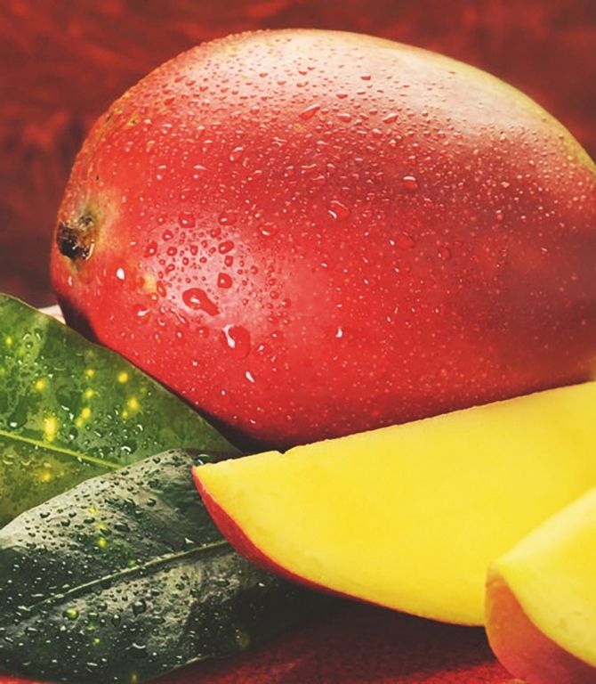 Entre Perú y Ecuador existe un rico intercambio de frutas y verduras muy apreciado en todo el mundo.