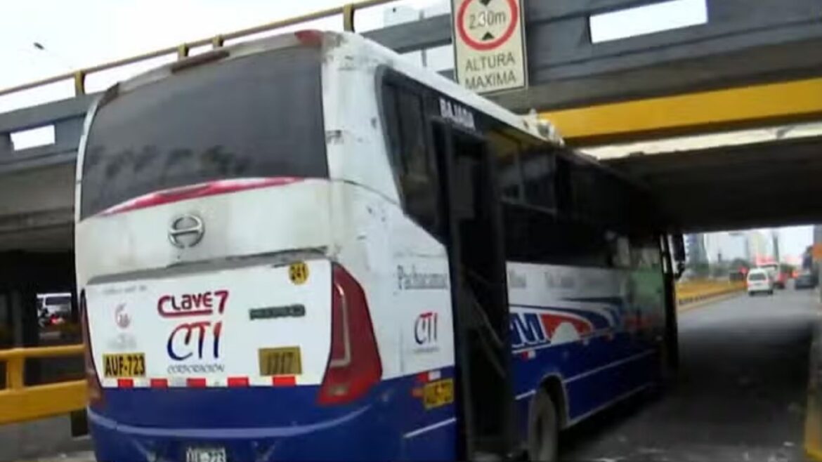 avenida Brasil