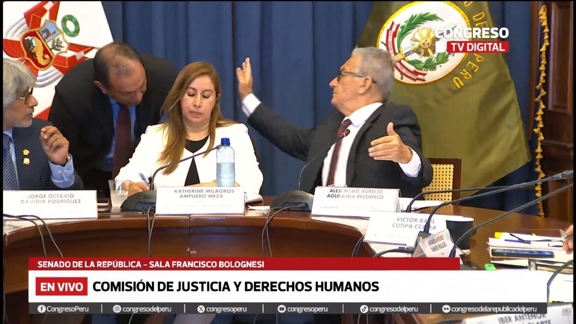 Alejandro Aguinaga, senador de Fuerza Popular, se quejó por haber sido interrumpido mientras hablaba en la sesión de Comisión de Justicia y Derechos Humanos. Foto: captura Congreso de la República