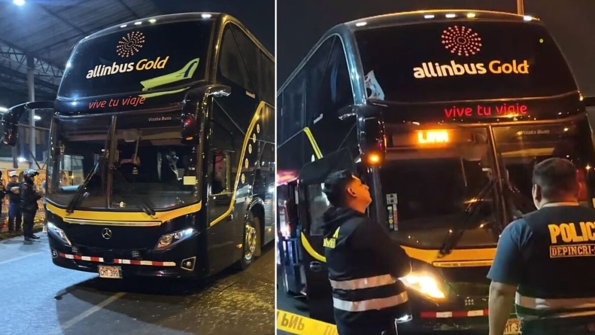 Allinbus