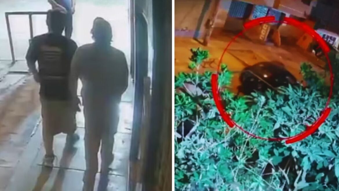 Secuestran empresario en Los Olivos