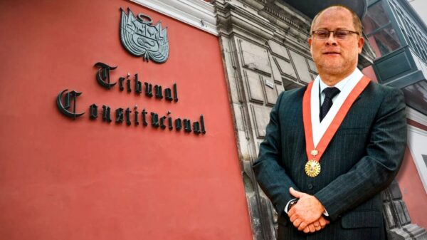 Pedro Hernández es el nuevo presidente del TC. Foto: composición Caretas