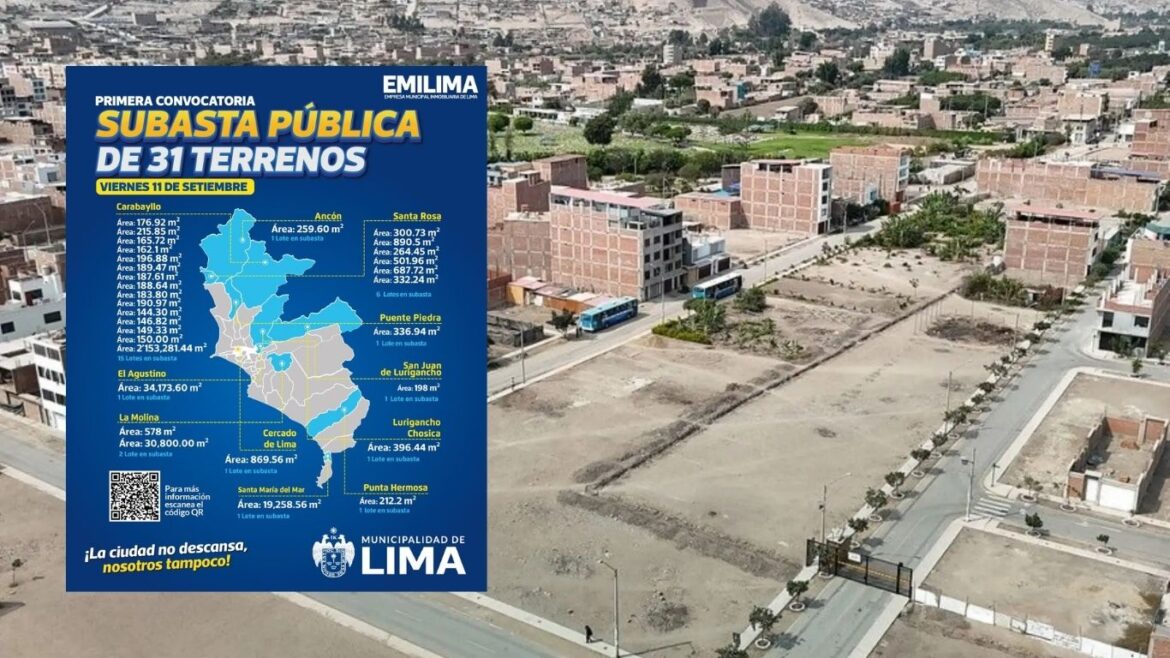 La Municipalidad de Lima realizará una subasta pública de terrenos. Foto: composición Caretas/Andina/Munlima