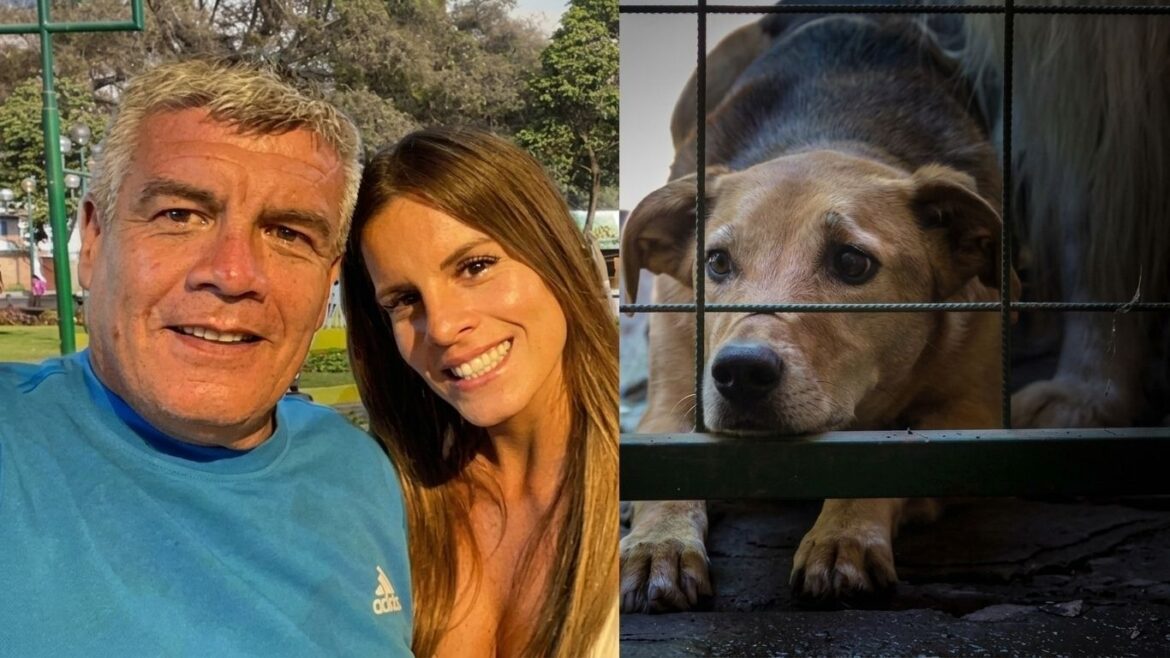 Animalistas durante su intervención en el albergue de animales de Chaclacayo.