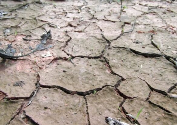 resiliencia climática