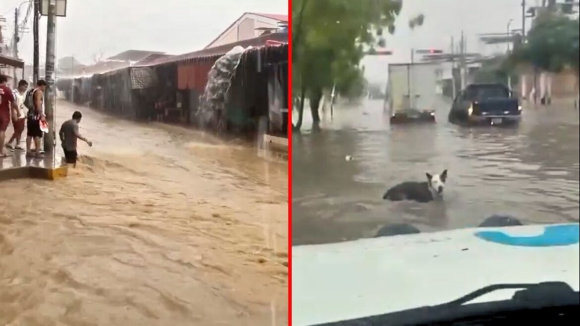 Calles de Piura se inundan tras fuertes lluvias. Foto: composición Caretas/difusión