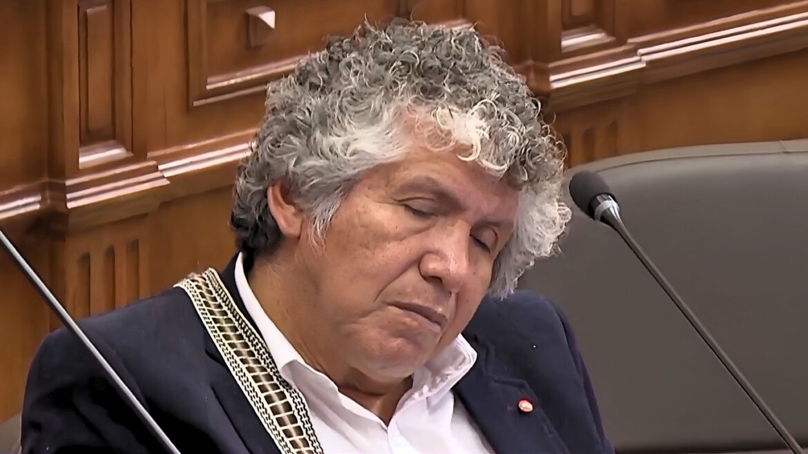 El senador Serafín Luján se quedó dormido en el Congreso. Foto: captura/Canal N