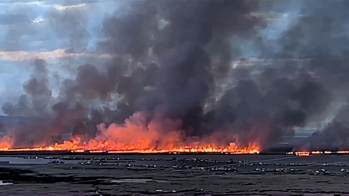 Puno en alerta por incendio de gran magnitud que afecta a los totorales del lago Titicaca. Foto: Canal N/captura