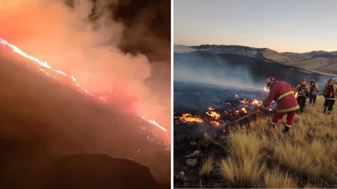 incendios forestales