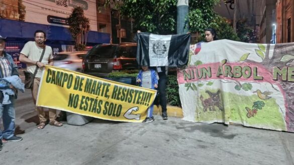 Vecinos de Jesús María denuncian tala de árboles en Campo de Marte, pero Invermet asegura que estaban muertos