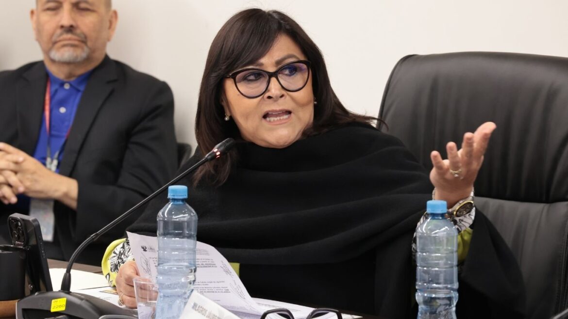 Milagros Jáuregui insiste en retirar los huacos eróticos de parques y llevarlos a museos para proteger a la infancia. Foto: Congreso.